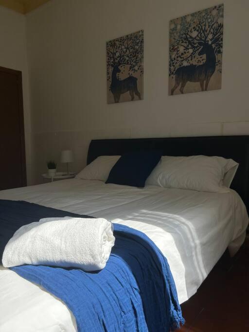 Appartamento Cavalieri Modena Zewnętrze zdjęcie